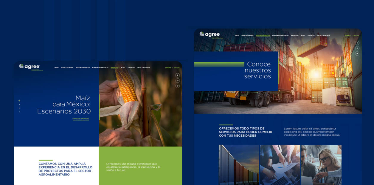 Portfolio Image